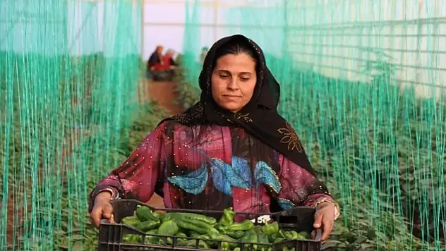 Tarımsal girdi enflasyonu ocakta yüzde 45,11 oldu