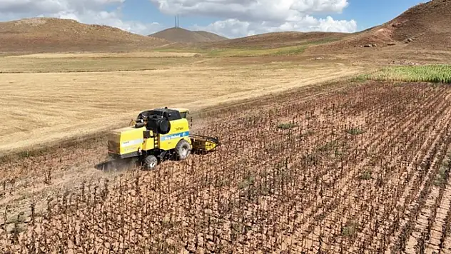 Tarımsal girdi fiyatları yıllık yüzde 33,66 arttı