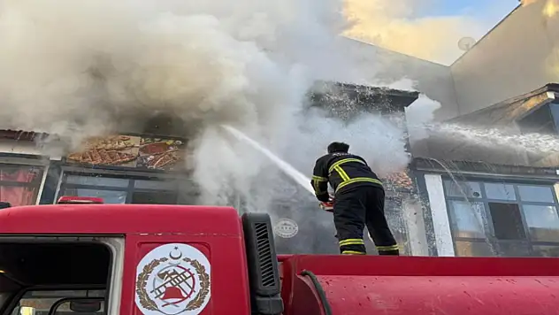 Tatvan'da yangın korkuttu