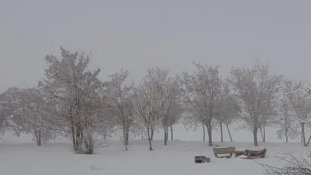 Tatvan-Güroymak yolunda yoğun sis