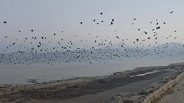 Tatvan sahilinde gökyüzünde sıra dışı manzara