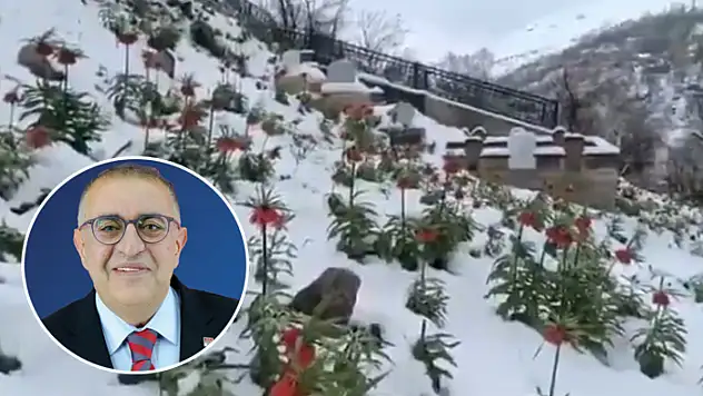 Ters Lale: Bahçesaray'ın Hüzün Çiçeği