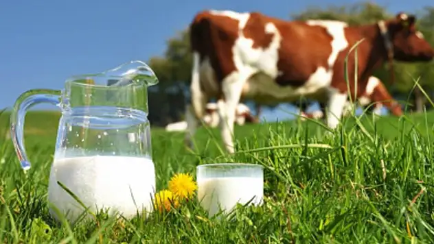 Ticari süt işletmelerince 946 bin 158 ton inek sütü toplandı