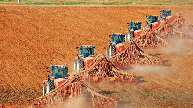 TİGEM 2025'te 346 bin ton üretim rekoltesi hedefliyor