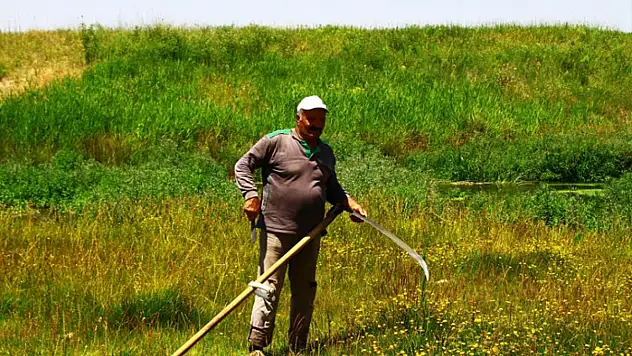 Tırpanın son ustası