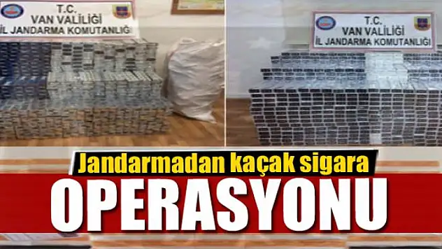 Jandarmadan kaçak sigara operasyonu 