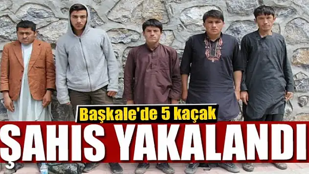 Başkale'de 5 kaçak şahıs yakalandı 