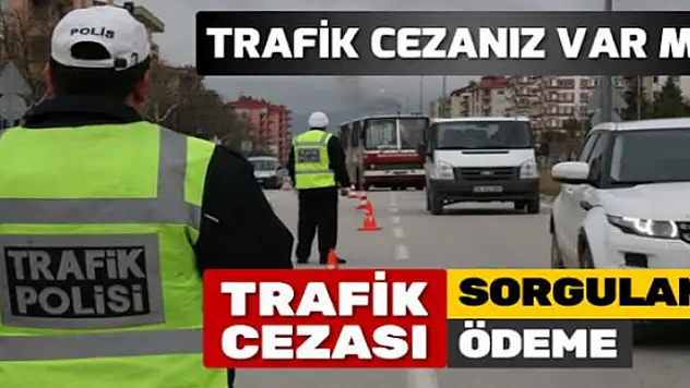 Trafik cezası sorgulama | Trafik cezası nasıl sorgulanır?