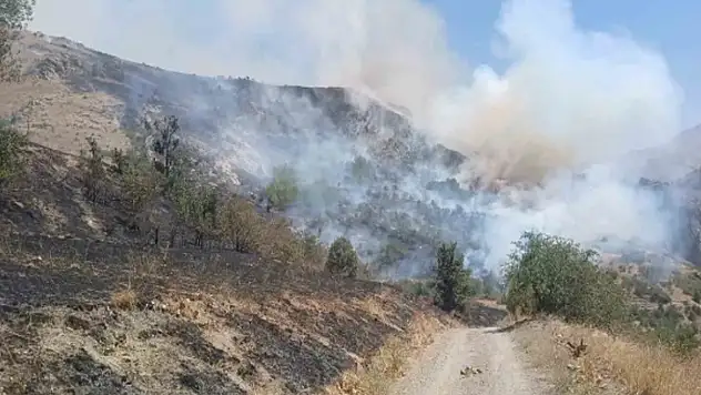 Türkiye-İran sınırında yangın