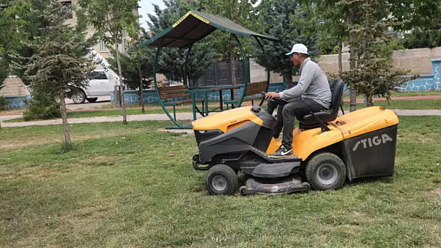 Tuşba'da çim biçme ve ağaç budama çalışması