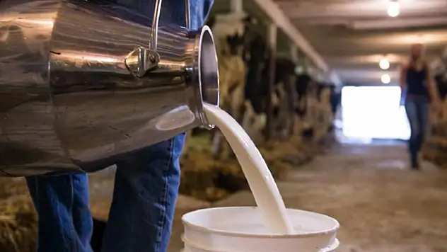 TÜSEDAD'dan çiğ sütte maliyet konusunda iş birliği çağrısı