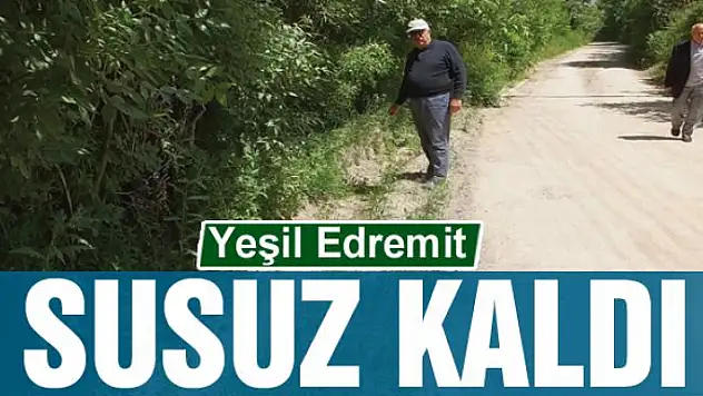 Yeşil Edremit susuz kaldı