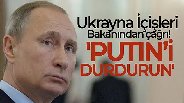 Ukrayna İçişleri Bakanı Anton: 'Putin'i durdurun'