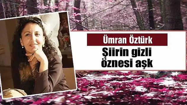 Şiirin gizli öznesi aşk