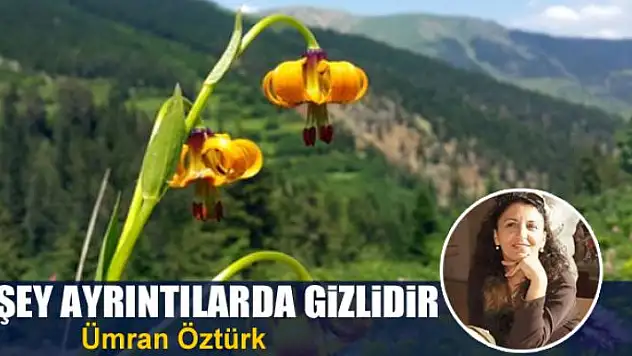 Herşey ayrıntılarda gizlidir