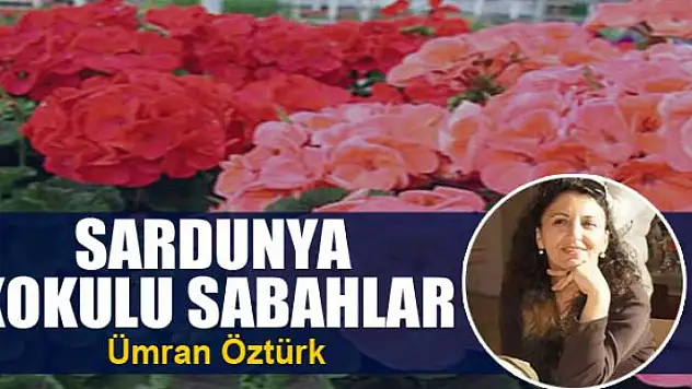 Sardunya kokulu sabahlar