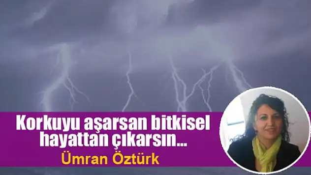 Korkuyu aşarsan bitkisel hayattan çıkarsın…