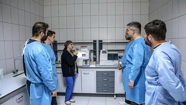 Üniversite öğrencileri hayvan bakım evinde uygulamalı eğitim alıyor