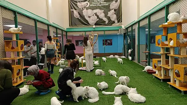 Üniversite öğrencileri Van'da uygulamalı eğitim aldı