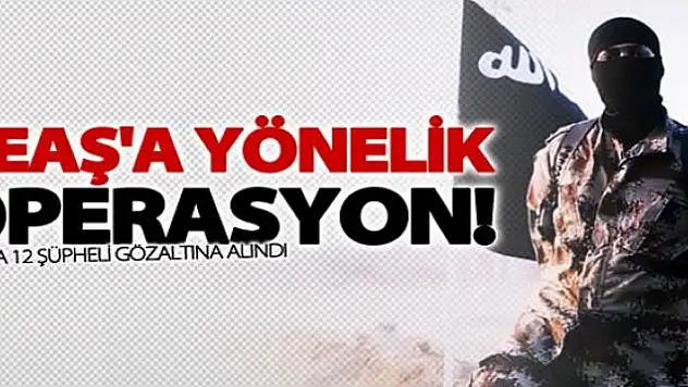 Van'da DEAŞ operasyonu