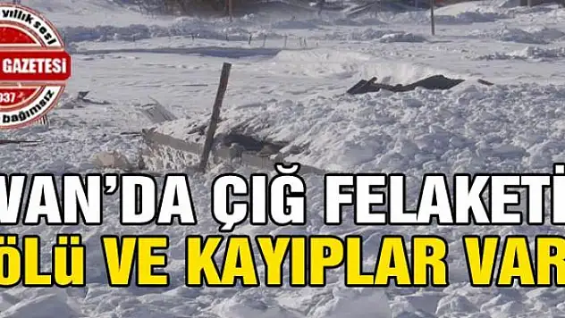 Van'da çığ felaketi