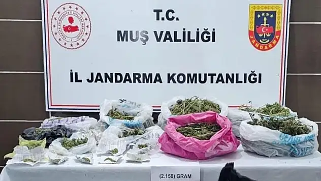 Uyuşturucu operasyonu