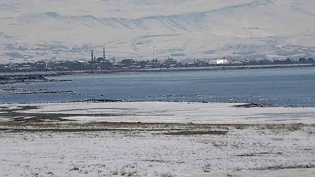 Uzmanından Van Gölü Havzası için kritik uyarı