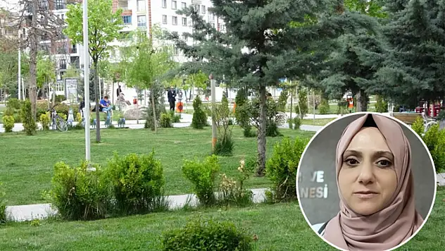 Uzmanlardan kene uyarısı