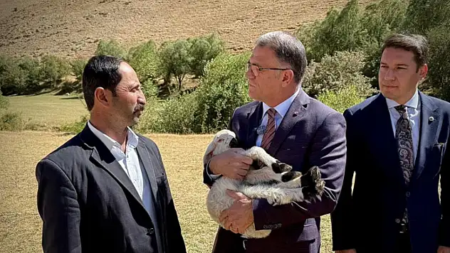Vali Balcı: Çiftçilerimize 240 bin koyun dağıttık