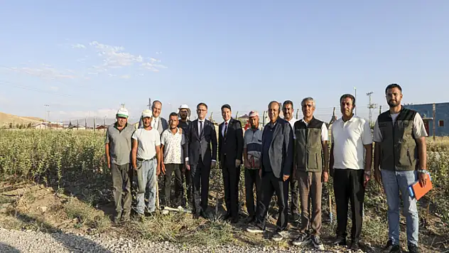 Vali Balcı fidanlık alanında incelemelerde bulundu