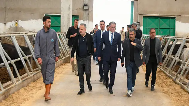 Vali Balcı, kurulacak Düve Üretim Merkezi alanında incelemelerde bulundu