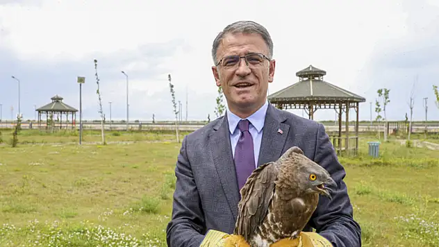 Vali Balcı, yaban kuşlarını doğaya bıraktı