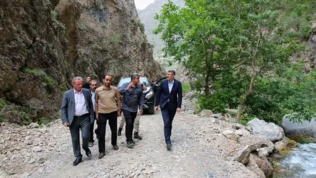 Vali Çelik'ten yayla yolunda inceleme