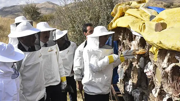 Vali Karakaya dünyaca ünlü karakovan balının hasadını yaptı