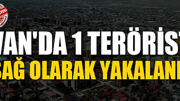 Van'da 1 terörist sağ olarak yakalandı