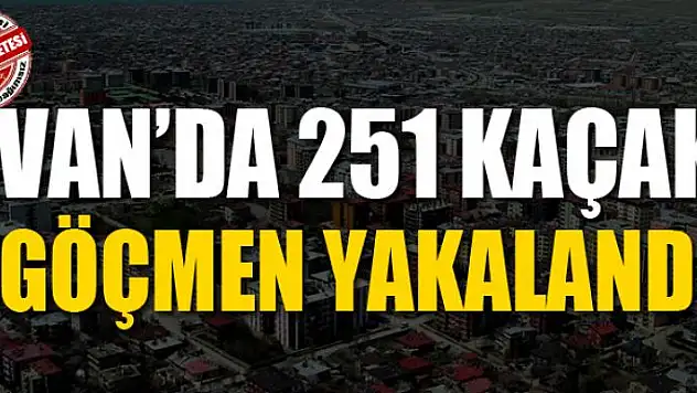 Van'da 251 kaçak göçmen yakalandı
