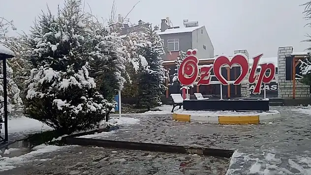 Van'a mevsimin ilk karı yağdı