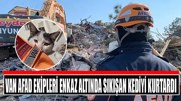 Van AFAD ekipleri enkaz altında sıkışan kediyi kurtardı