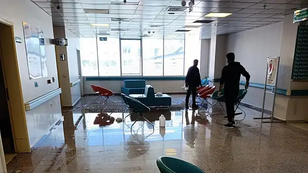 Van Ağız ve Diş Sağlığı Merkezi'nde temizlik çalışması yapıldı