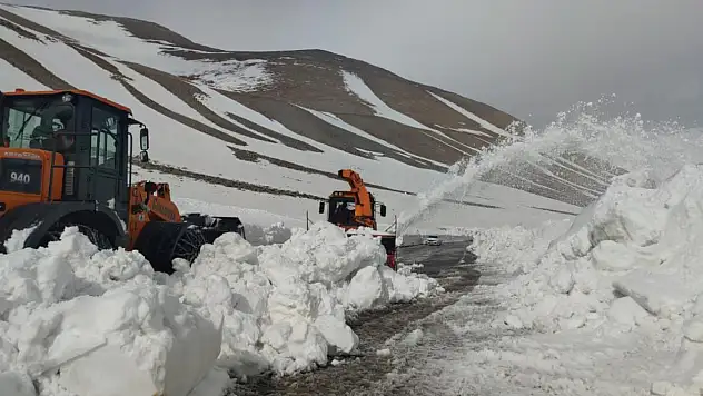 Van-Bahçesaray yolunda 3 ay sonra yeniden çalışma başlatıldı