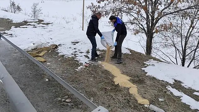 Van Büyükşehir Belediyesi kanatlı hayvanlar için seferber oldu