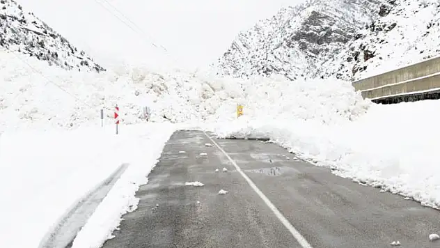 Van-Çatak kara yoluna çığ düştü