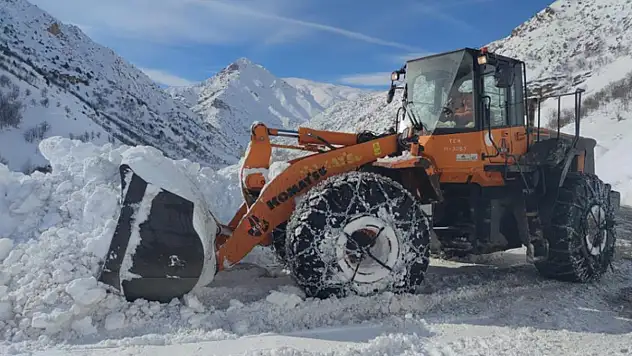 Van-Çatak yolu kontrollü olarak ulaşıma açıldı