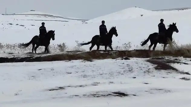 Van'da 108 düzensiz göçmen yakalandı