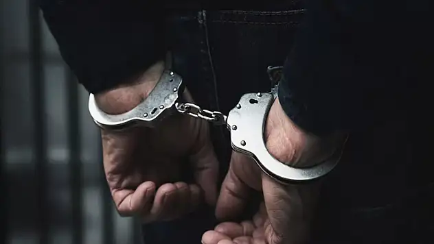 Van'da 29 kişi tutuklandı