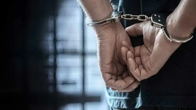 Van'da 29 kişi tutuklandı