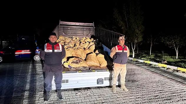 Van'da 3 ton 820 kilo kaçak avlanmış balık ele geçirildi
