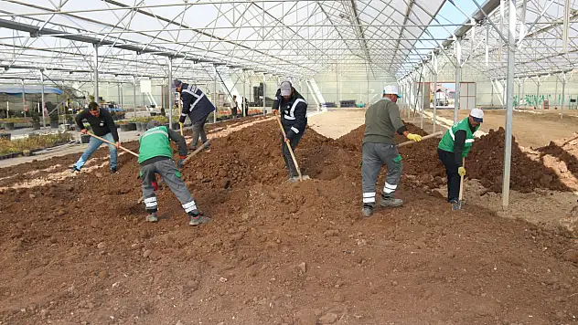 Van'da 4.000 m²'lik sera alanı yenilendi