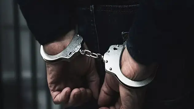 Van'da 44 kişi tutuklandı