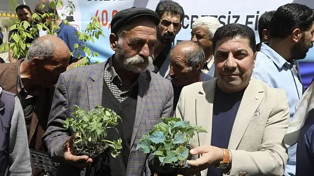 Van'da 45 bin sebze fidesi dağıtıldı